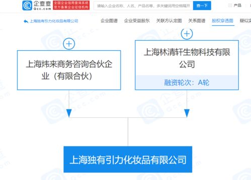 林清軒經(jīng)營公司拓展業(yè)務版圖，新設化妝品公司并布局電子商務與計算機軟硬件